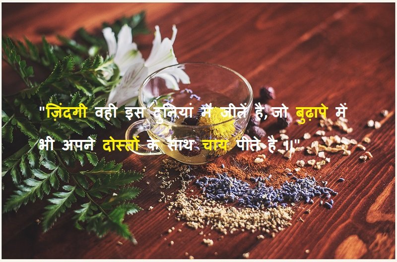 Tea Quotes in Hindi for WhatsApp Status