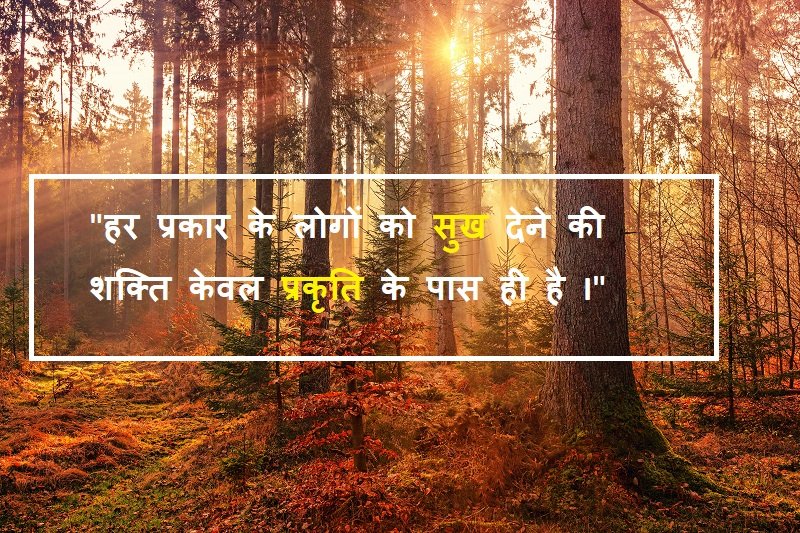 Top 10 Nature Quotes in Hindi