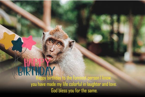 Funny Birthday Wishes and Images