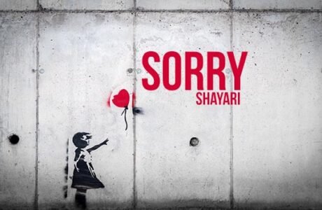 Sorry Shayari In Hindi for Friends and sister